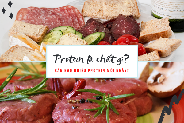 protein có tác dụng gì, protein là gì, cần bao nhiêu protein mỗi ngày, protein là chất gì, protein có chức năng gì, một ngày cần bao nhiêu protein, ăn bao nhiêu protein 1 ngày, cơ thể cần bao nhiêu protein mỗi ngày