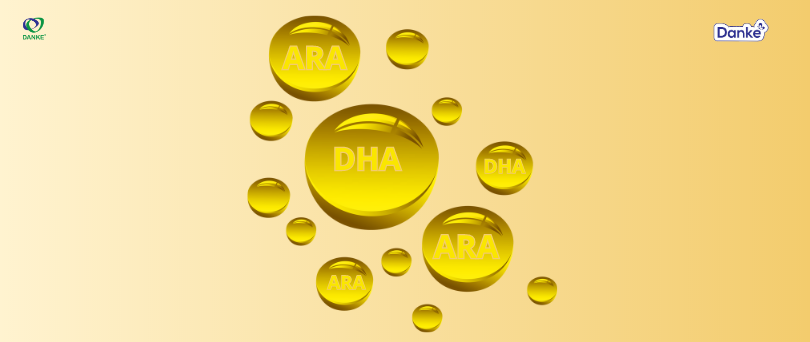 DHA (axit docosahexaenoic) và ARA (axit arachidonic) là hai loại axit béo quan trọng cho sự phát triển trí não và nhận thức ở trẻ