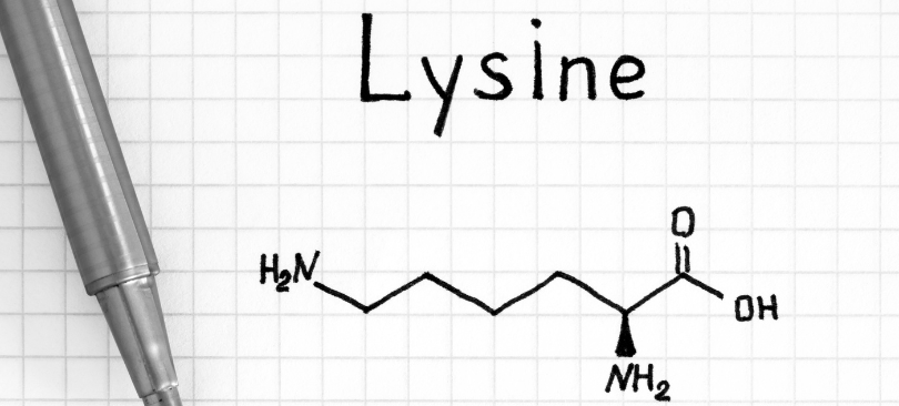 Lysine là một axit amin thiết yếu, có nghĩa là cơ thể không thể tự tạo ra được mà phải nhận từ thức ăn.