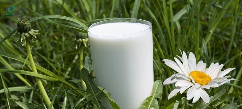 Sữa tươi là loại sữa được sản xuất từ sữa tươi đã qua xử lý nhiệt độ cao để tiêu diệt các vi sinh vật gây hại trong sữa.