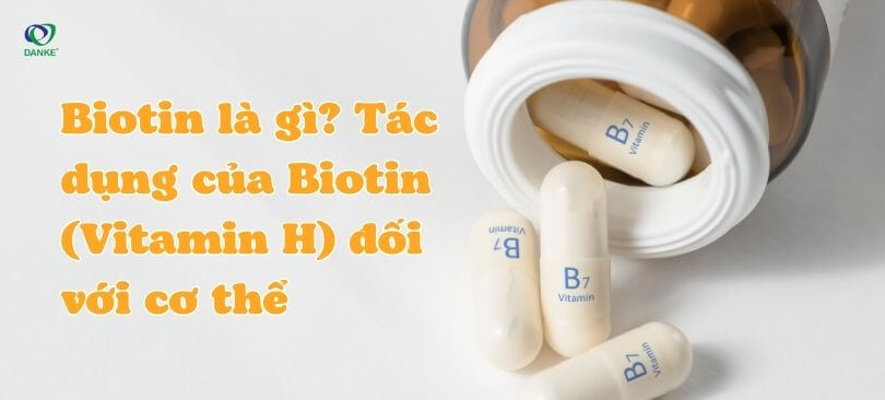 Biotin là gì? Tác dụng của Biotin (Vitamin H) đối với cơ thể 