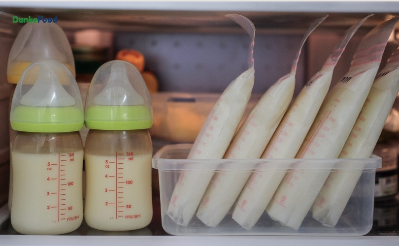 Bảo quản sữa ở ngăn đông hay ngăn mát tuỳ thuộc vào nhu cầu sử dụng