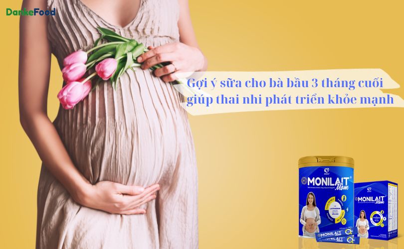 Gợi ý sữa cho bà bầu 3 tháng cuối giúp thai nhi phát triển khỏe mạnh